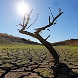 Η κεντρική Ευρώπη αντιμετωπίζει τη χειρότερη ξηρασία της τελευταίας χιλιετίας