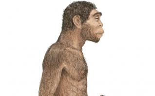 Ο Homo erectus δημιούργησε τον λόγο