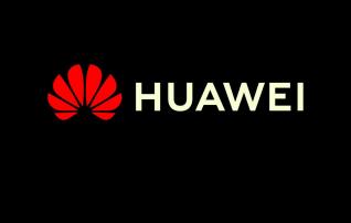 Huawei: "Αυθαίρετη και ολέθρια" η απόφαση Τραμπ να μπλοκάρει τις αγορές αμερικανικών ημιαγωγών